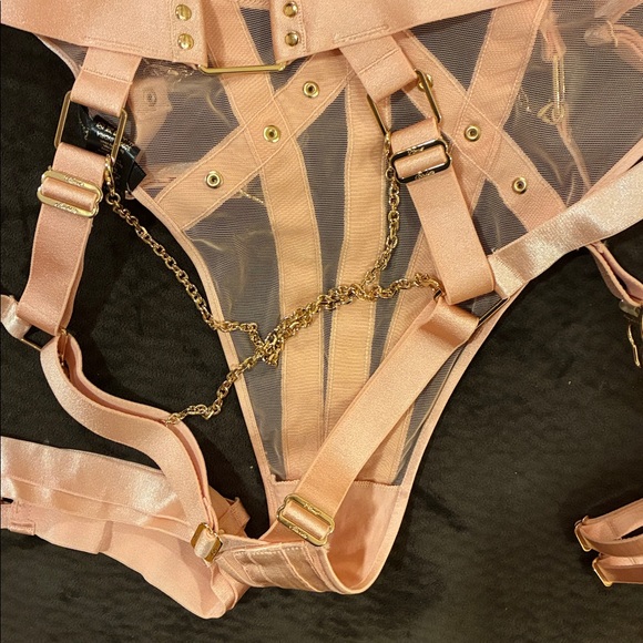 NEW Honey Birdette 40F Pink KUKURO SEXY Lingerie Set bra, garter, panties SET - Picture 5 of 9